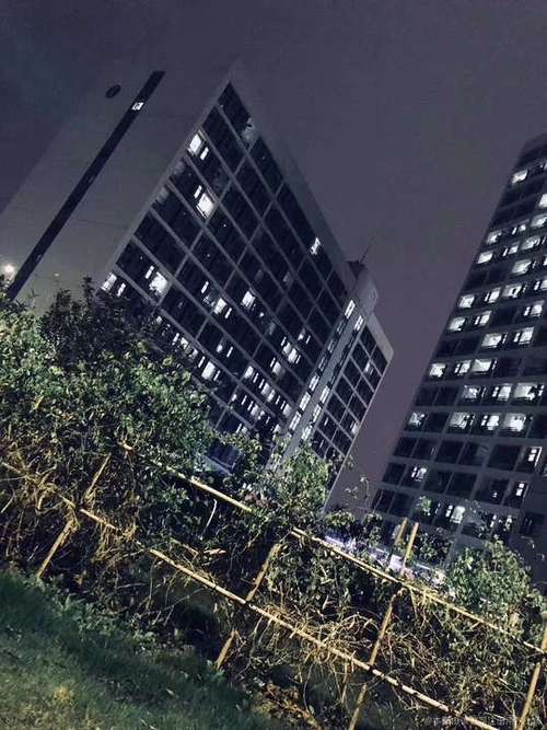 赋能企业增长 综合性电子商务与商务信息咨询的价值与实践