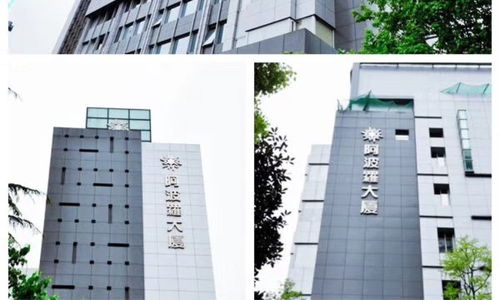 “上海上藤咨询”、“尚藤教育”与“淘学培训” 一文厘清机构间的差异与价值
